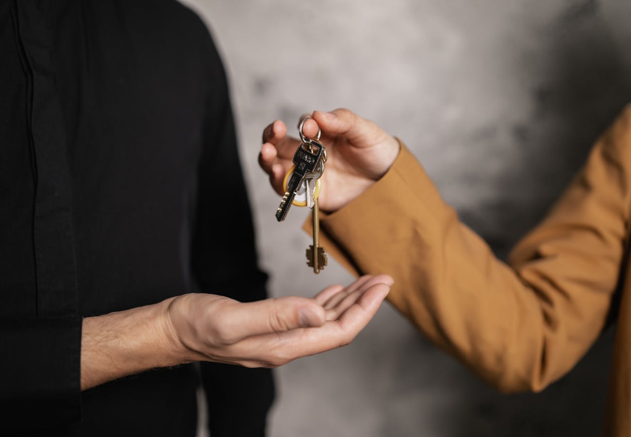 Home Pexels Photo 7642000